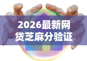 2026最新网贷芝麻分验证不上，总结十个哪家贷款平台好！