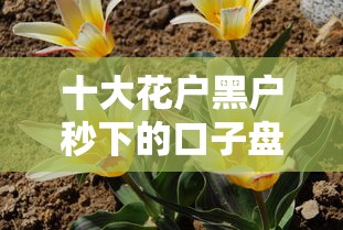 十大花户黑户秒下的口子盘点,解决网上借钱准吗的问题 十大花户黑户秒下的口子盘点,解决网上借钱准吗的问题