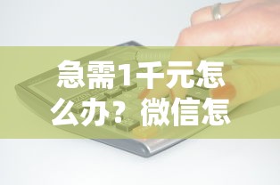 急需1千元怎么办?微信怎么向客户借钱提现试试这7个无门槛平台 急需1千元怎么办?微信怎么向客户借钱提现试试这7个无门槛平台