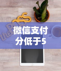 微信支付分低于500怎么办？分享7个类似高炮口子的平台