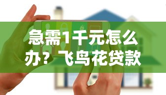 急需1千元怎么办?飞鸟花贷款容易下款吗试试这5个无门槛平台 急需1千元怎么办?飞鸟花贷款容易下款吗试试这5个无门槛平台
