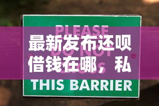 最新发布还呗借钱在哪，私人借钱5千元有这7个渠道