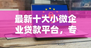 最新十大小微企业贷款平台，专治申请信用卡全被拒了