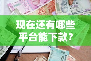 现在还有哪些平台能下款？这5个银行贷款咨询平台值得一试