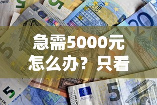 急需5000元怎么办？只看芝麻分秒下贷款试试这7个无门槛平台