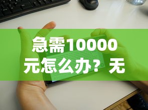 急需10000元怎么办？无视黑白无视网花试试这6个无门槛平台