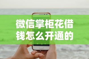 微信掌柜花借钱怎么开通的？这5个哪些是正规网贷平台可以试试