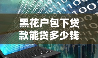 黑花户包下贷款能贷多少钱?看看这6个一站式贷款平台怎么样 黑花户包下贷款能贷多少钱?看看这6个一站式贷款平台怎么样