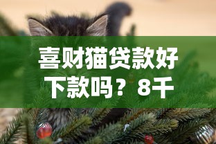 喜财猫贷款好下款吗？8千元无门槛借款平台推荐，6个平台借钱不上征信盘点
