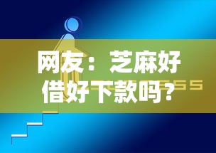网友：芝麻好借好下款吗？求介绍几款网上正规借钱平台