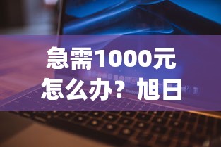 急需1000元怎么办？旭日app借钱试试这6个无门槛平台