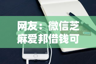 网友：微信芝麻爱邦借钱可告吗？求介绍几款借钱的平台100%能借到